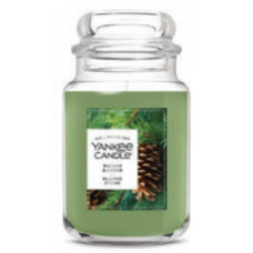 YC 22oz Apothecary Candle - Balsam & Cedar YC 22oz Apothecary Candle - Balsam & Cedar