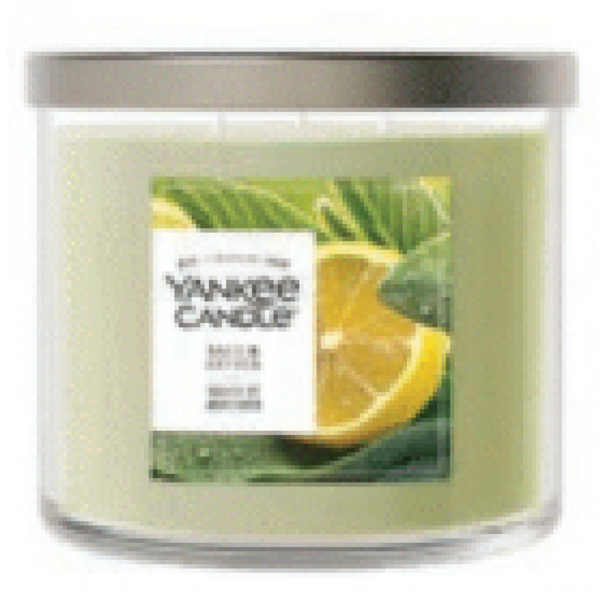 YC 14.5oz 3-Wick Candle - Sage & Citrus