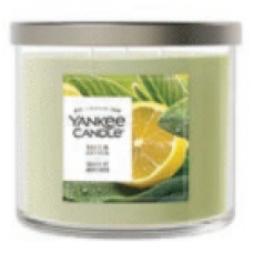 YC 14.5oz 3-Wick Candle - Sage & Citrus YC 14.5oz 3-Wick Candle - Sage & Citrus