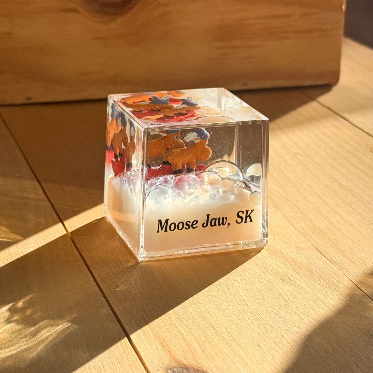 Moose Jaw Cube with Moose Floaters