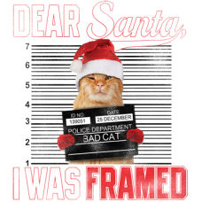BP23413HD2 Dear Santa Framed