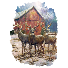 bp24092HD2 Three Kings Barn 