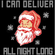 BP24075HD2 Santa Delivers