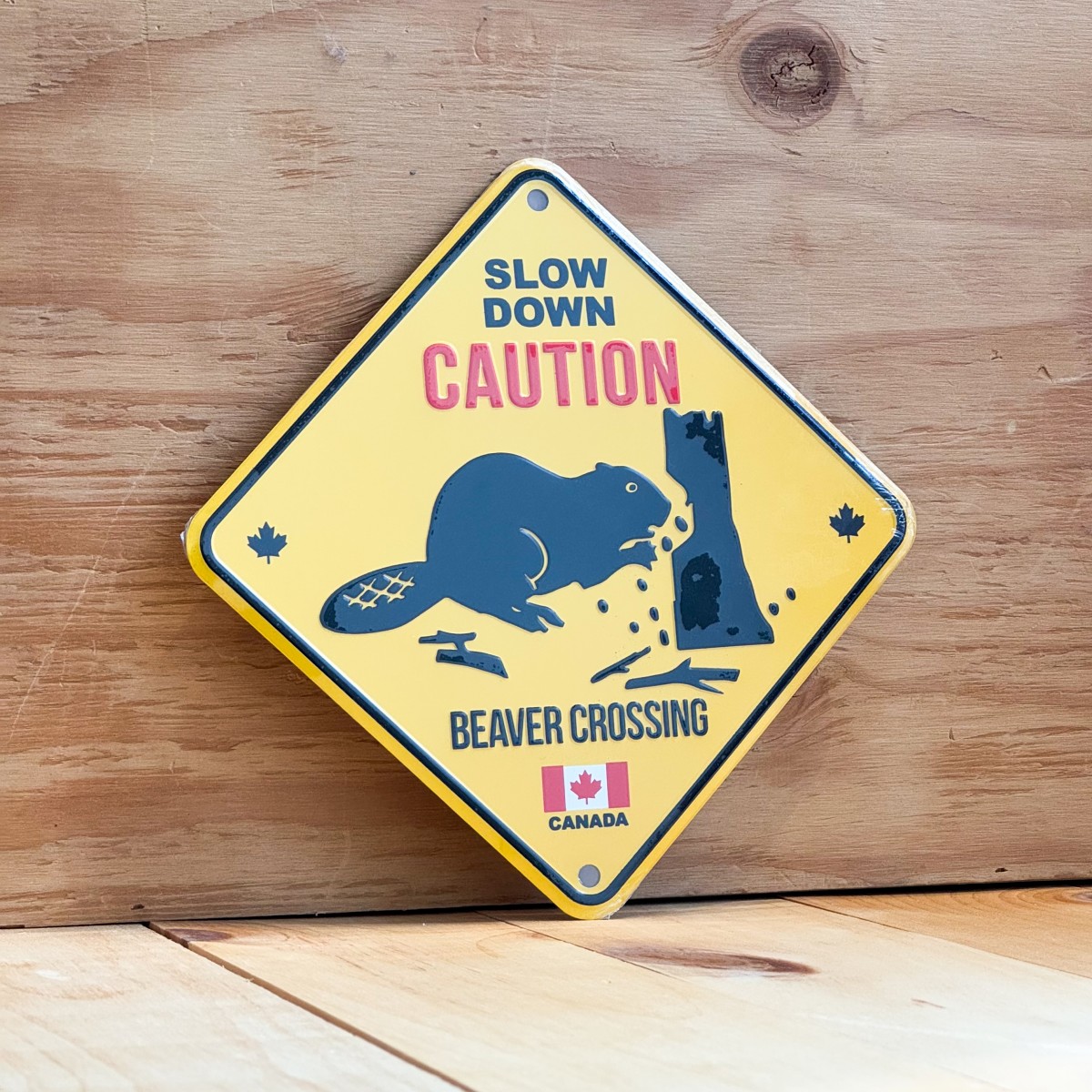 Canada Aluminum Road Sign 6x6 Caution Slow Down Beaver Crossing