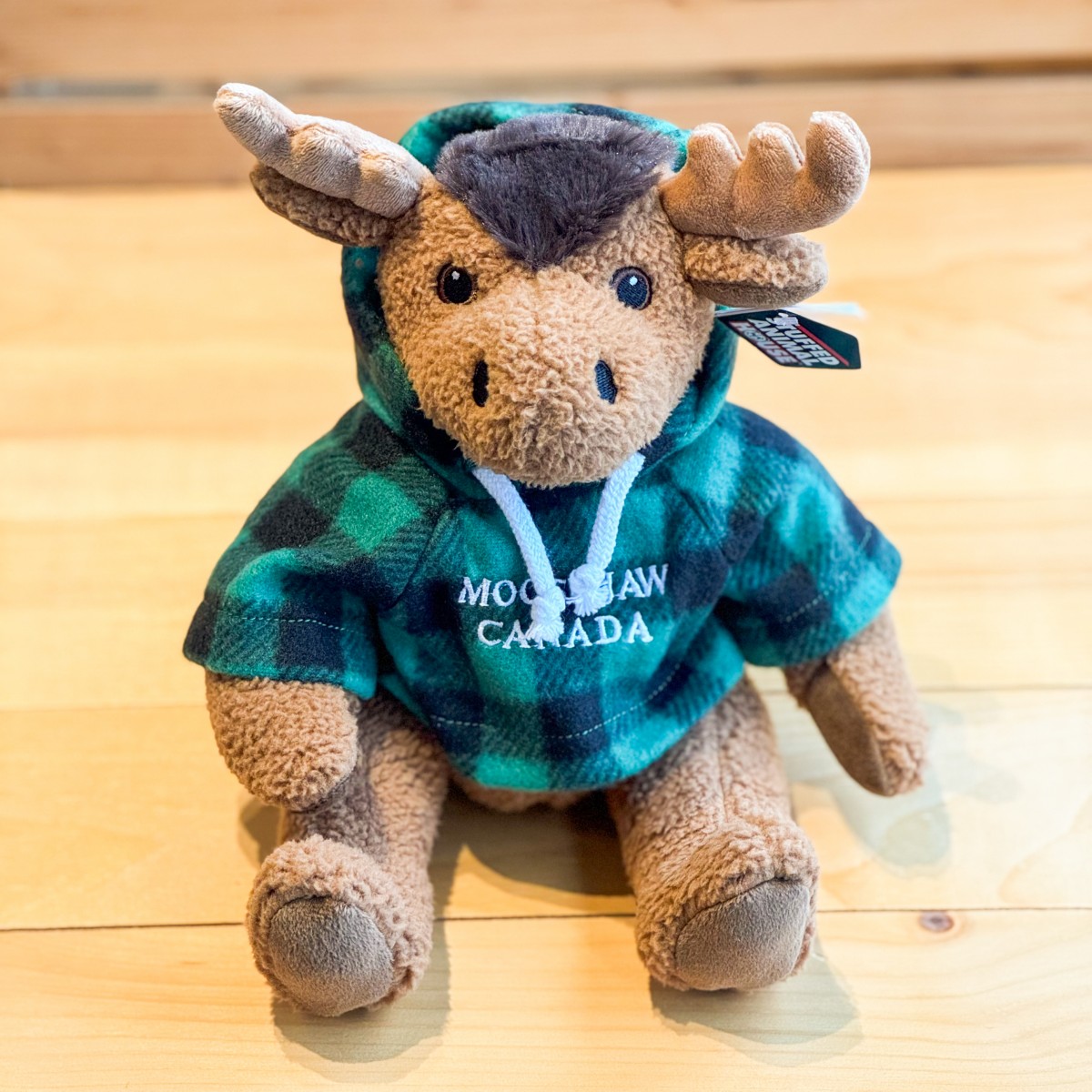 Stuffed 10" Curly Critter Moose With Green Plaid Embroidered Moose Jaw Hoodie