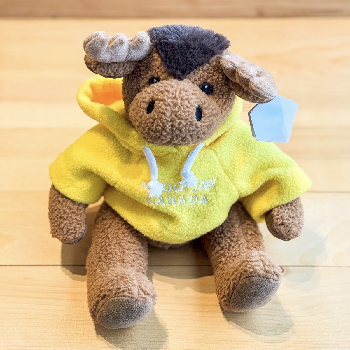 Stuffed 10" Curly Critter Moose With Yellow Embroidered Moose Jaw Hoodie