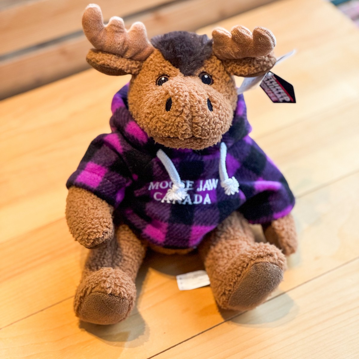 Stuffed 10" Curly Critter Moose With Purple Plaid Embroidered Moose Jaw Hoodie
