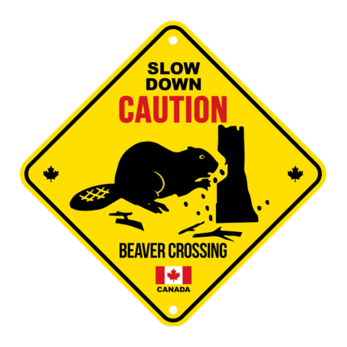 Canada Aluminum Road Sign 6x6 Caution Slow Down Beaver Crossing SC