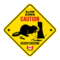 Canada Aluminum Road Sign 6x6 Caution Slow Down Beaver Crossing SC