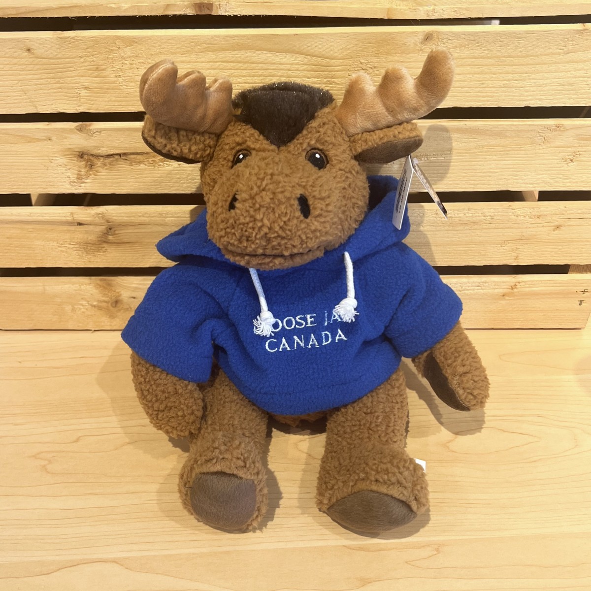 Stuffed 10" Curly Critter Moose With Royal Blue Embroidered Moose Jaw Hoodie