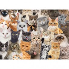 PP Jigsaw Puzzle 500 Pieces: All The Cats