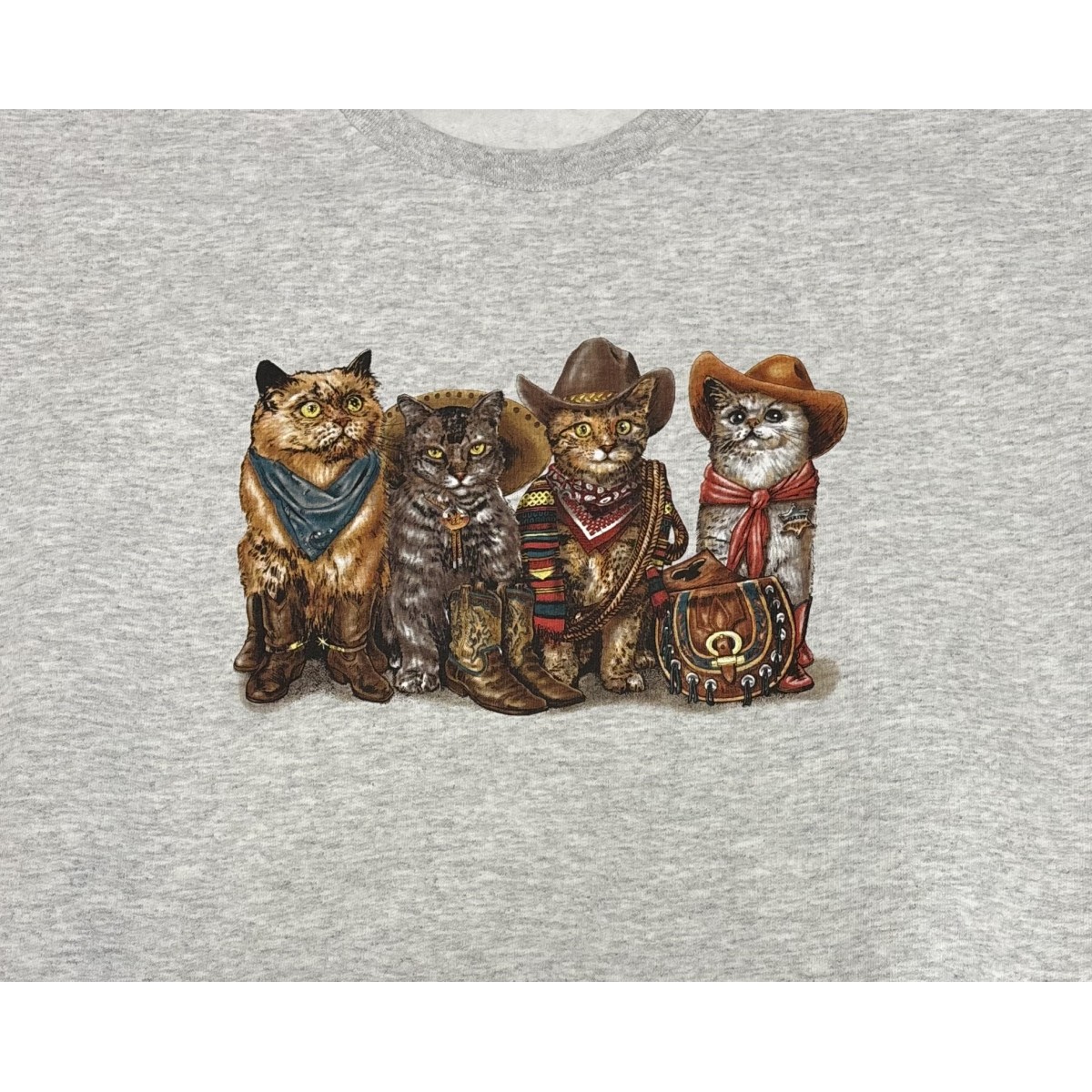BP18912HL2 Cowboy Cats