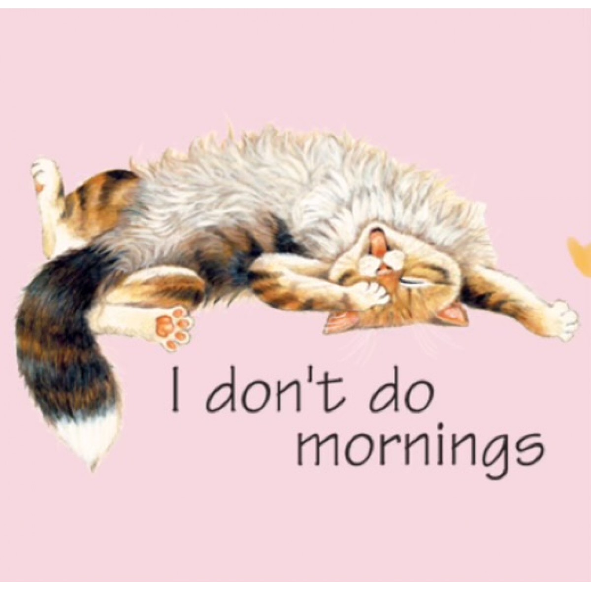 BP04143HL2 Don't Do Mornings Cat