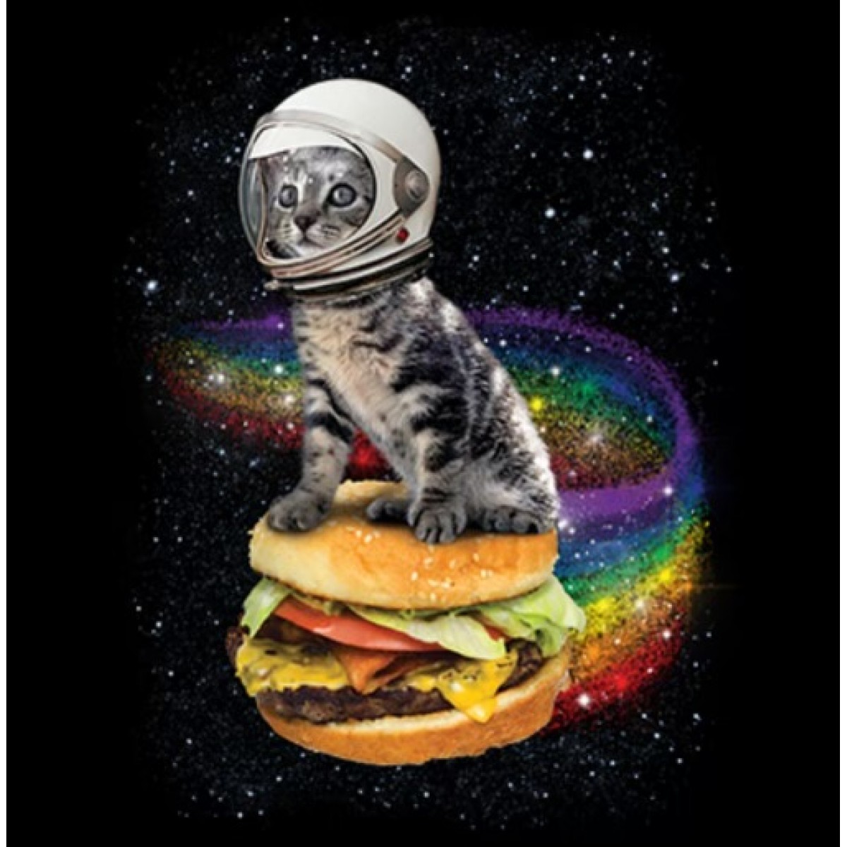 BP21661D2 Hamburger Cat