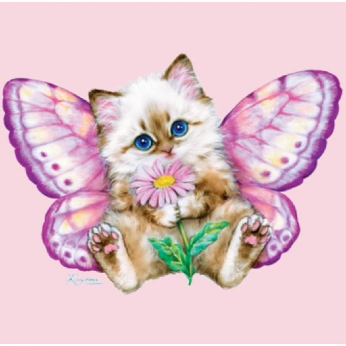 BP00081I6 Butterfly Cat