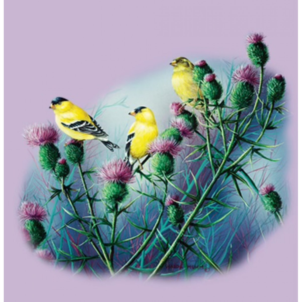 Printed Lavender T-Shirt American Goldfinch
