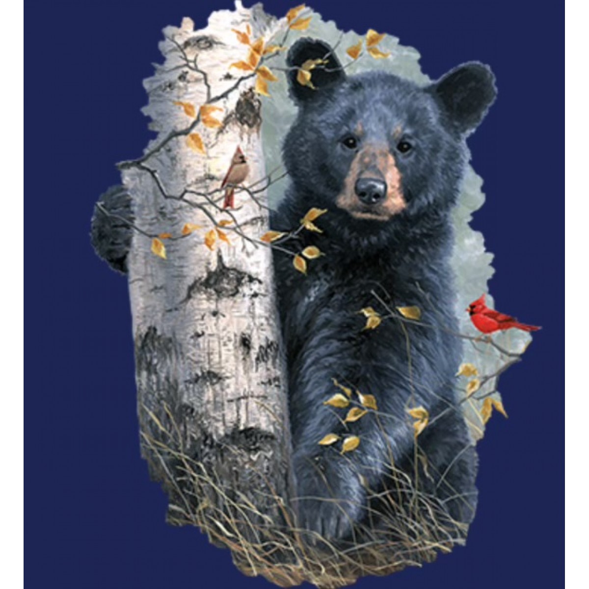 BP22883HD2 Bear