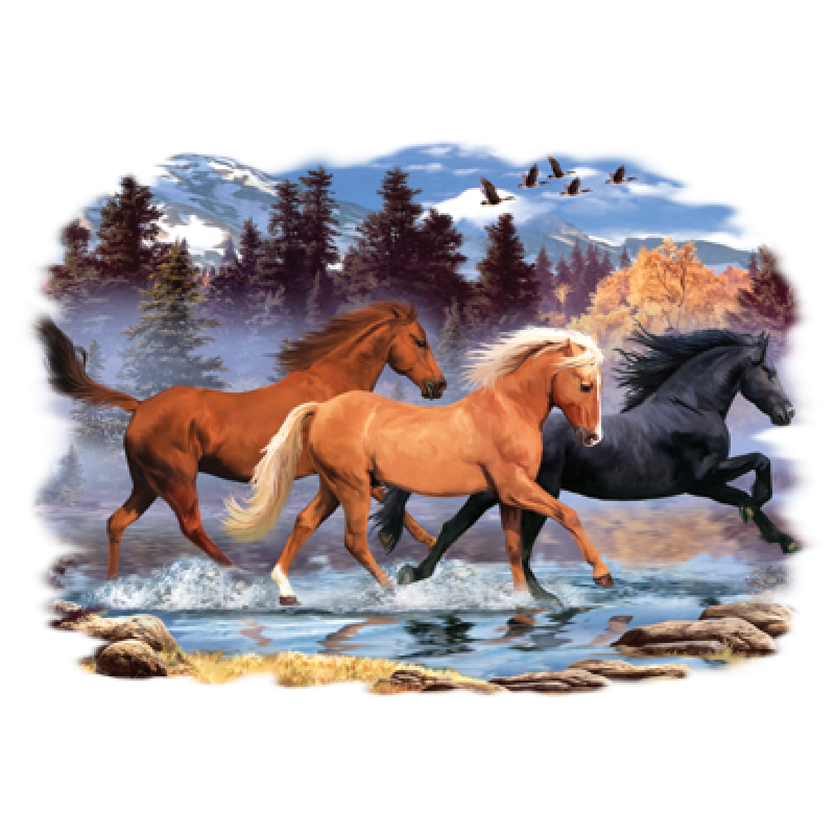 BP16984HL2 Horses Running Free 2