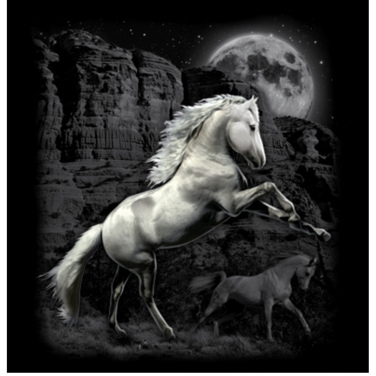 BP18321DP1 White Horse Wilderness