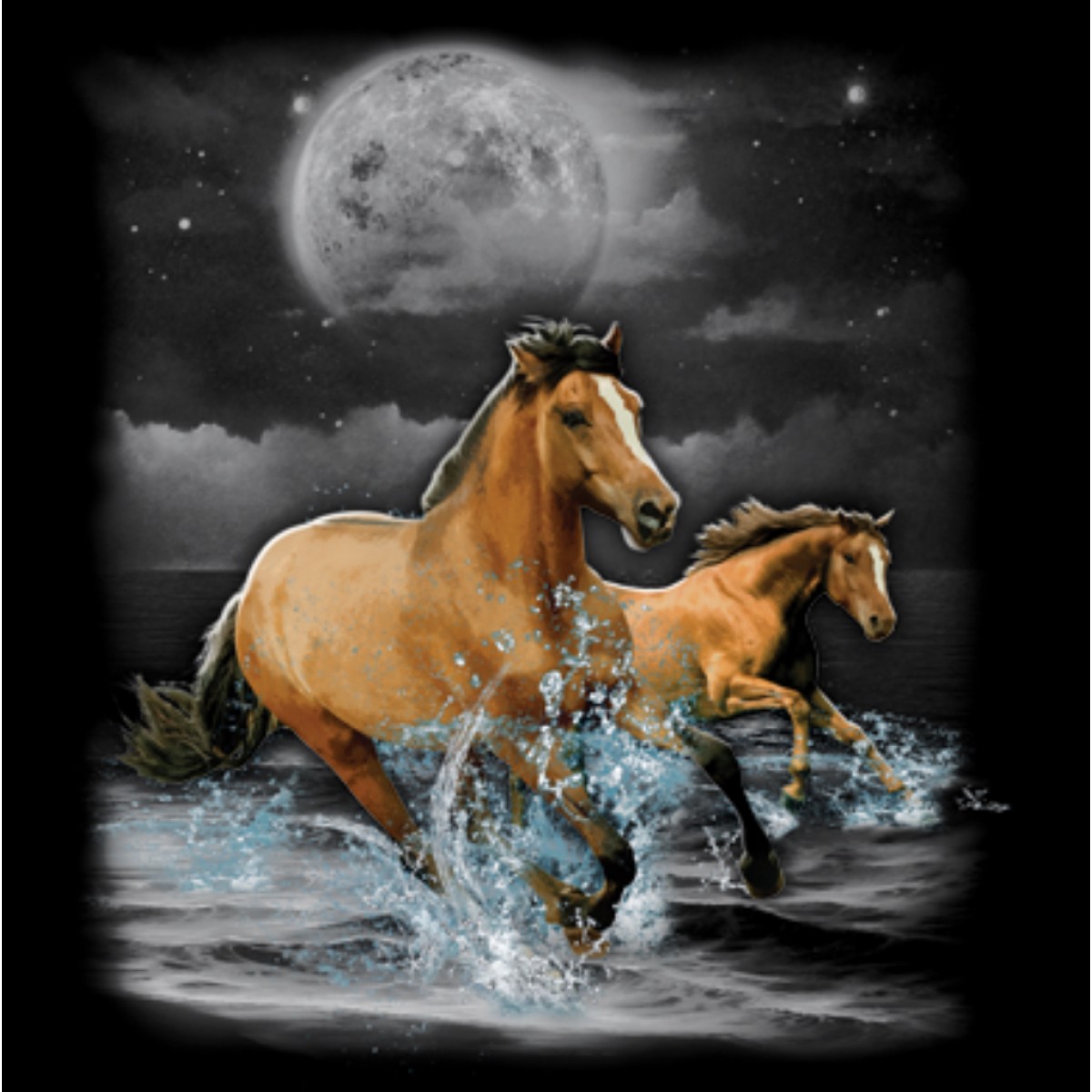 BP18279DP1 Horses