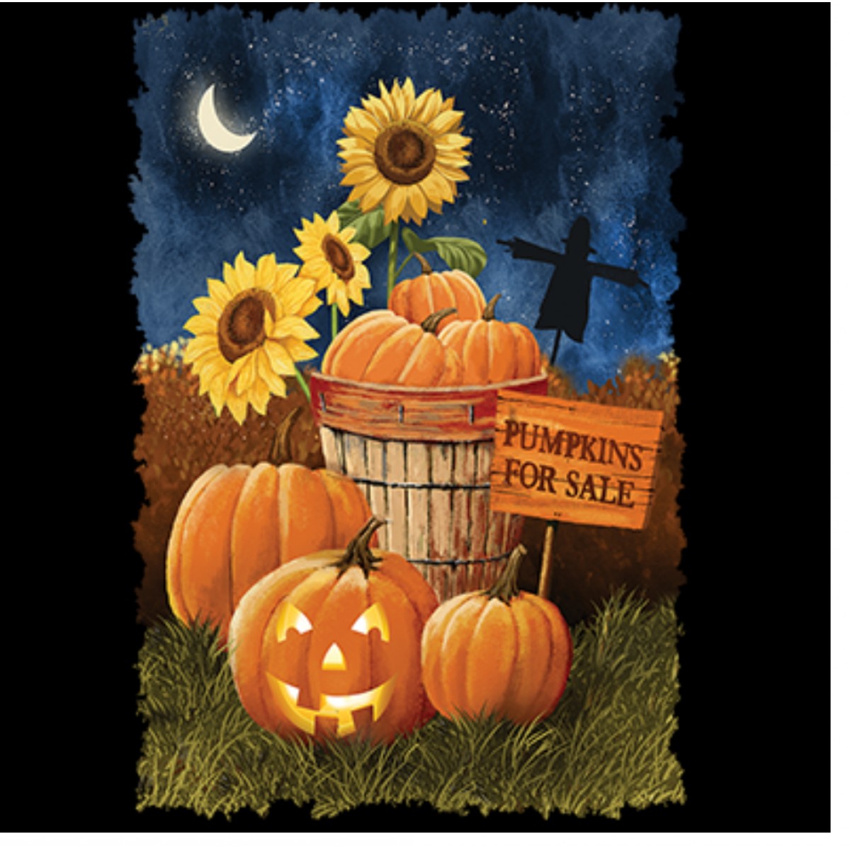 BP22074HD2 Pumpkin