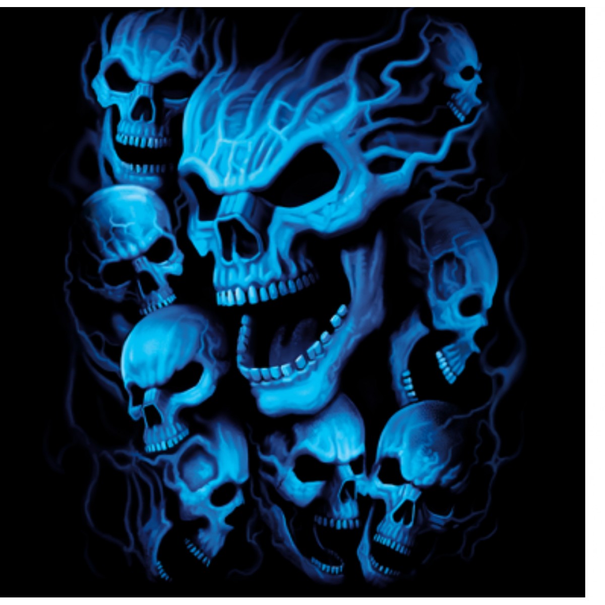 BP18634D0 Blue Skulls