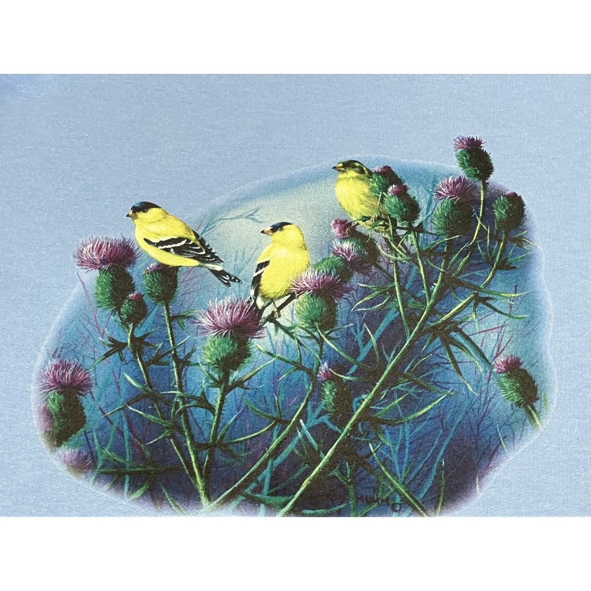 BP24331HL4 Birds American Goldfinch & Thistle