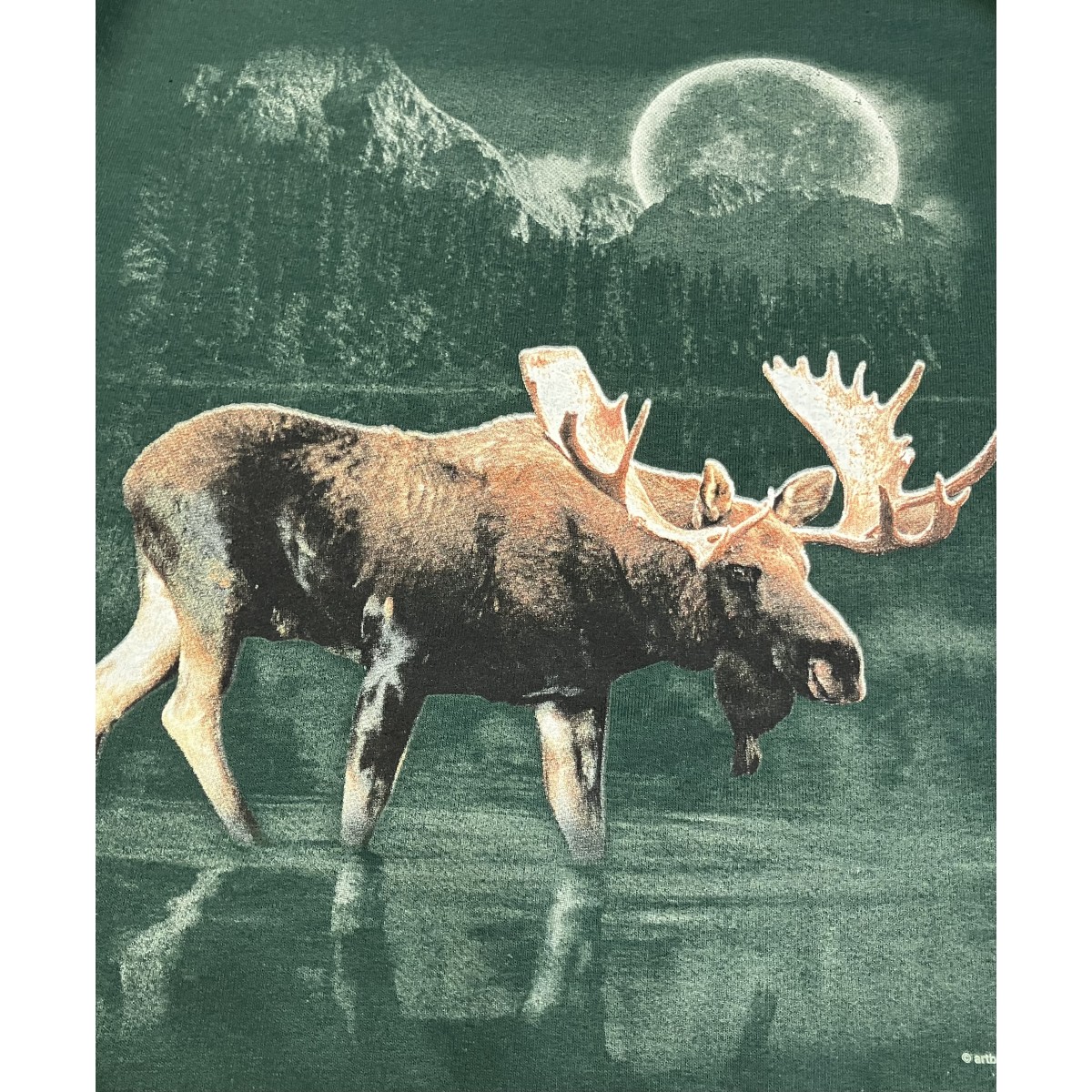 BP18281DP1 Moose Wilderness