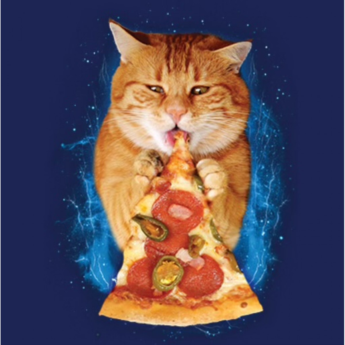 BP21977D2 Pizza Cat