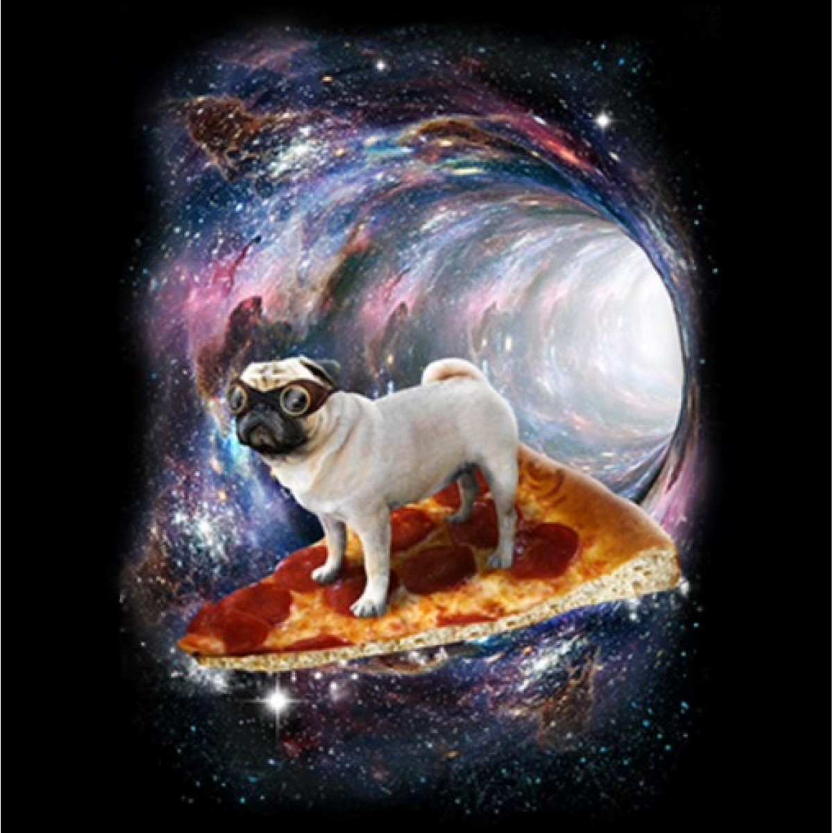 BP21660D2 Pug Pizza Dog