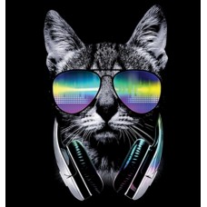 BP19950NBT2 DJ Cat