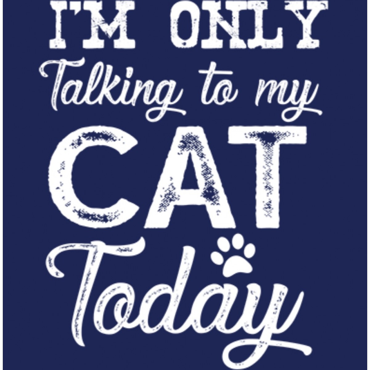 BP28360ED2 I'm Only Talking To My Cat