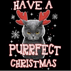BP Purrfect Christmas Cat
