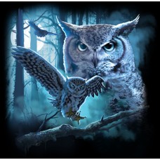 BP21011D1 Owl Vat
