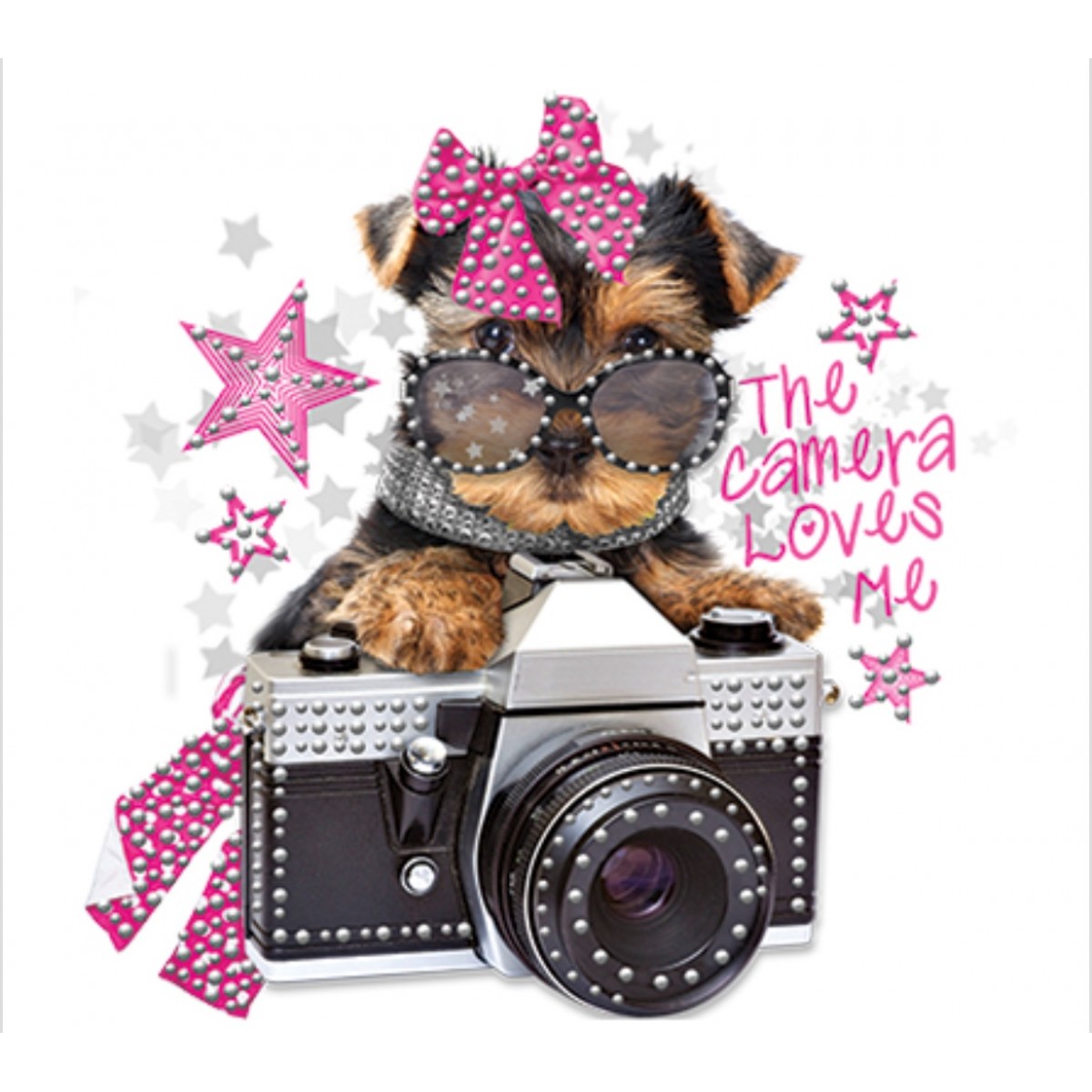 BP18194HLR4 Puppy Camera Rhinestones