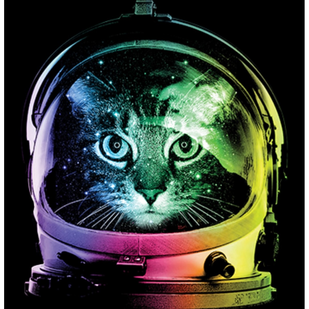 BP19944NBT2 Space Cat