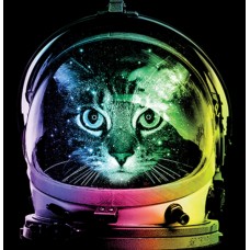 BP19944NBT2 Space Cat