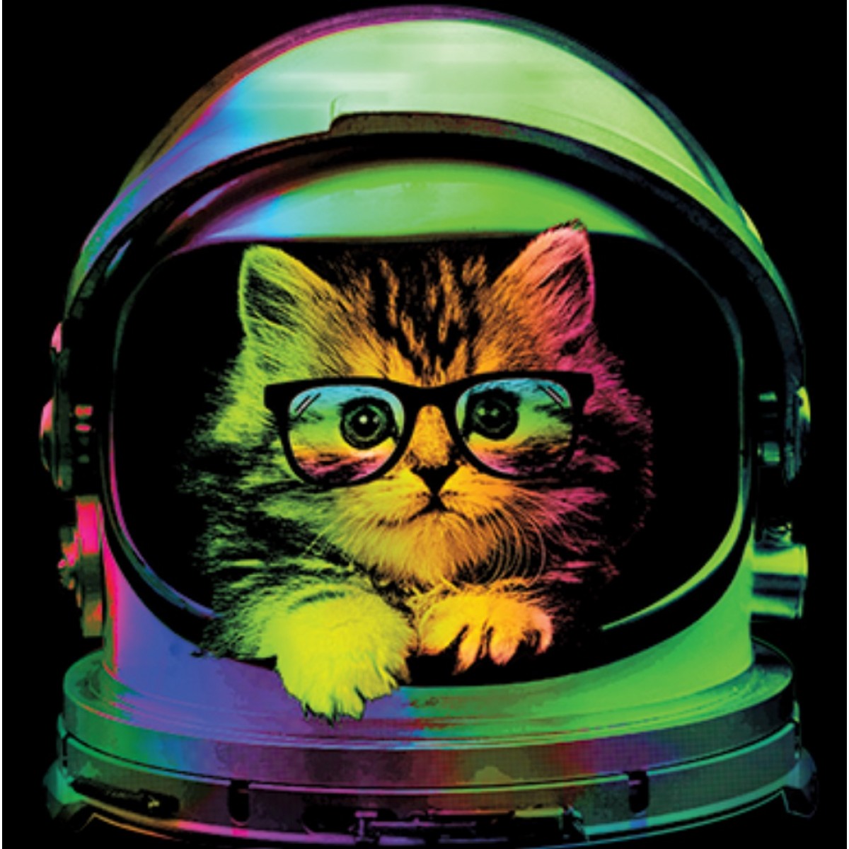 BP19945NBT2 Space Kitten