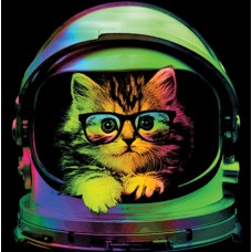 BP19945NBT2 Space Kitten