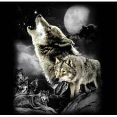 BP18257DP2 Wolf Wilderness