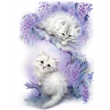 BP00016L2 Mischief Mates