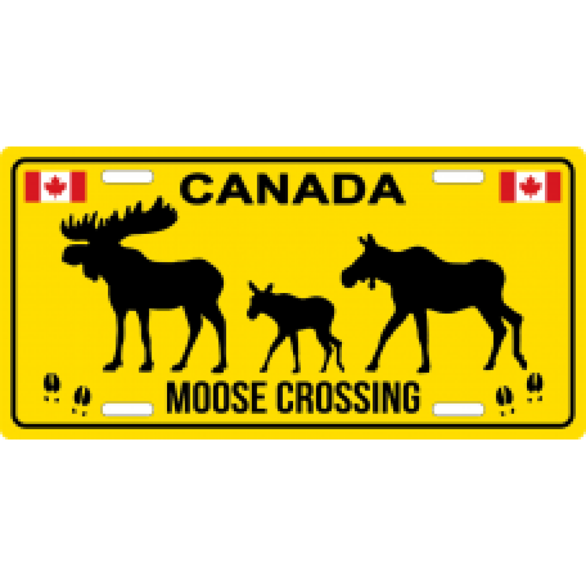 Canada Vehicle Plate Magnet Moose Crossing Metal 3.5 x 2 SC
