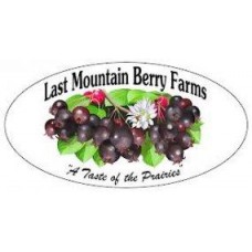 Last Mountain Jam - Rhubarb Strawberry